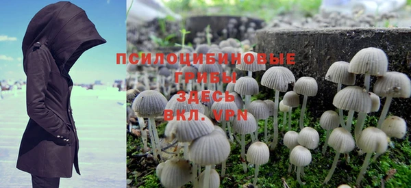 ешки Липки
