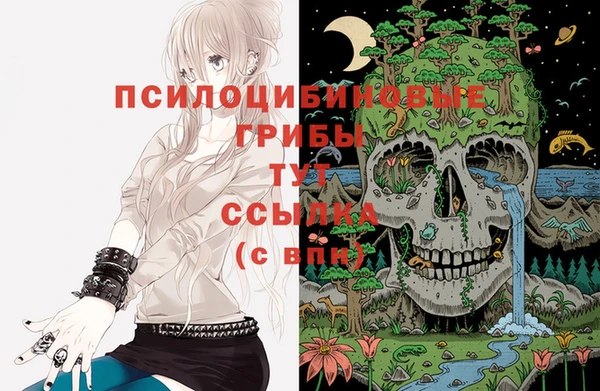 метадон Магас