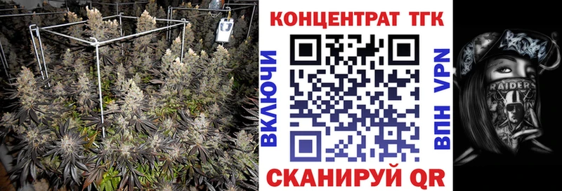 ОМГ ОМГ   Владивосток  Дистиллят ТГК вейп с тгк 