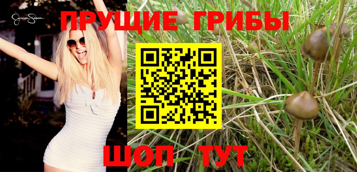  КОКАИН Владивосток