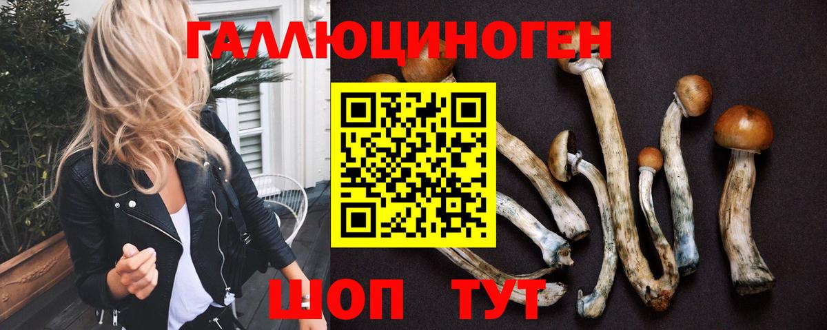 Владивосток  Псилоцибиновые грибы Magic Shrooms  Псилоцибиновые грибы ЛСД  как найти наркотики  Вход с VPN 